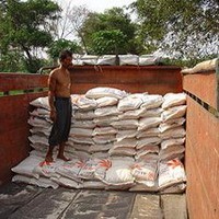 Beras Vietnam 536 Ribu Ton Sudah Masuk RI