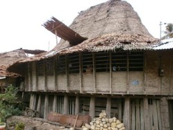 Rumah Adat Nias