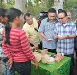 Menteri Kelautan dan Perikanan Tinjau Tambak Garam di Bali