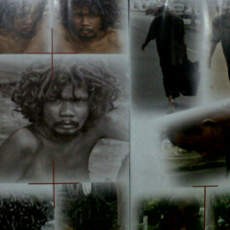 Suguhan Pesona Kegilaan dalam Bidikan Kamera