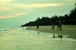 Pohon Cemara di Sepanjang Pesisir Pantai?