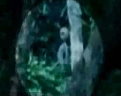 Alien Tertangkap Kamera Video di Hutan Amazon