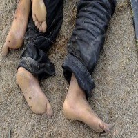 53 Pendukung Khadafi Tewas Ditembak di Sirte