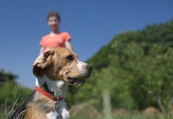 Mendadak Punya Gairah Seks Tinggi Gara-gara Virus Rabies