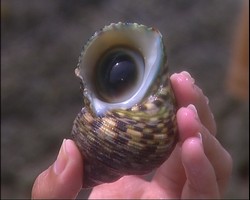 LEZAT & BERGIZI DARI SIMEULUE