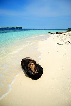 Trip Sight-seeing and Snorkeling at Pulau Harapan dan sekitar
