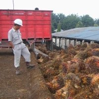 Kawasan Khusus Sei Mangkei Butuh Investasi Rp 5,7 Triliun