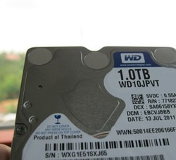 WD Scorpio Blue 1TB, Hardisk Lapang untuk Laptop