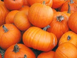 Labu Kuning Cegah Katarak