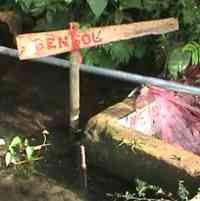 Warga Garut Bor Lahan yang Diyakini Mengandung Minyak Bumi