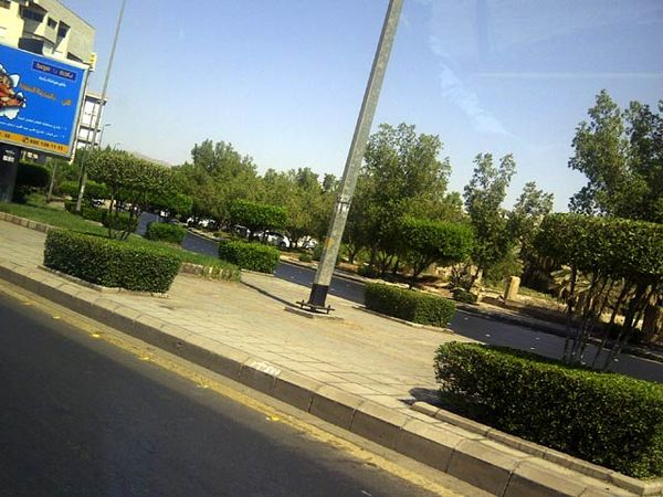 Madinah Kini Menghijau