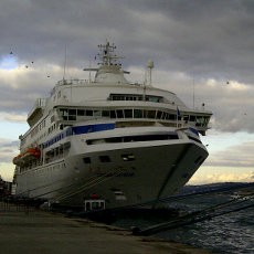 Telepon, Obat Kangen ABK Kapal Pesiar Asal Indonesia 