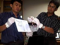 Tulang di Kukar Positif Orangutan