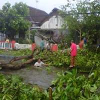 Belasan Rumah di Mojokerto Rusak Diterjang Puting Beliung