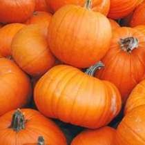 Labu Kuning Cegah Katarak