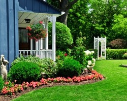 Ini Dia, Manfaat Memiliki Taman di Rumah