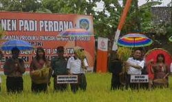 Kemenhut Ubah Kawasan Hutan di Luar Jawa Jadi Lahan Pertanian 