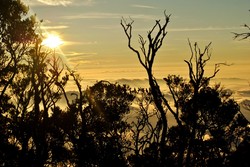 Liburan Akhir Pekan di Lembah Mandalawangi