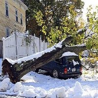 13 Orang Tewas Akibat Badai Salju AS, Jutaan Rumah Tanpa Listrik