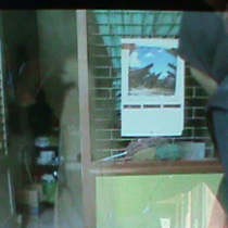 Hi.., Ada Hantu Perempuan Berjubah Putih di Radio Warna Pasuruan