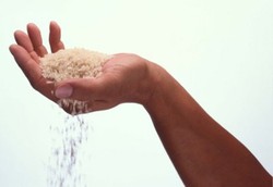 Darah Sintetis Kini Bisa Dibuat dari Beras