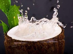 Air Kelapa Atasi Sakit Maag