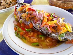 Ikan Dabu-dabu Manta