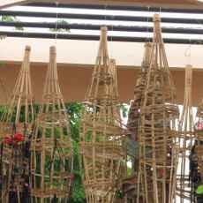 Kepompong Manusia Setengah Malaikat