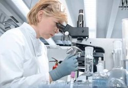 Bakteri Vampir Berpotensi Jadi Antibiotik Super