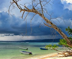 Incredible Alas Purwo