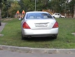 Parkir Sembarangan, Mobil Ditutupi Rumput!