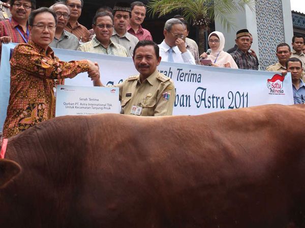 Hewan Qurban Astra
