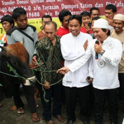 Band Wali Berkurban 19 Sapi & 10 Kambing