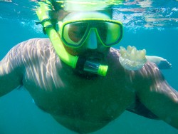 Psychedelic Moment at Stingless Jellyfish Lake