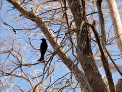 Bird Watching Komodo