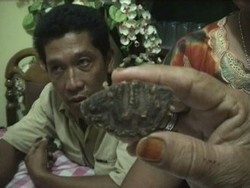 Ditemukan Daging Sapi Kurban Bertulis Asma Allah di Medan