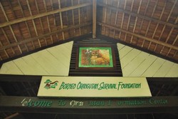 Akhirnya Bisa ke Nyaru Menteng