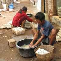 Peternak Bebek Kebonsari Bersiap Hadapi Musim Hujan