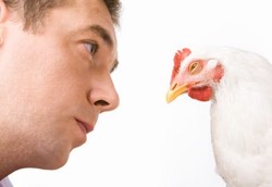 Bercinta dengan Hewan Picu Kanker pada Kemaluan Pria