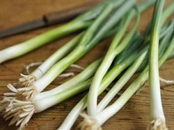 Daun Bawang Efektif Redakan Flu