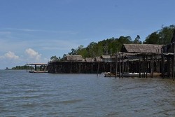 Hutan Bakau, Anoa, Buaya, Kepiting Hingga Listrik Gratis