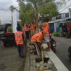 Hujan Semalaman, Empat Pohon Baru di Banyu Urip Tumbang