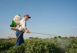 Ahli Botani Australia Gunakan Herbisida untuk Berantas Malaria