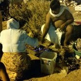 Nyate di Arafah, Ngebakso di Masjidil Haram