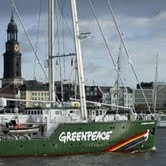 Greenpeace Duga Ada Mafia Hutan di Balik Aksi Segel Kantor di Kemang