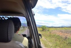 Mereka Sebut Itu Oto