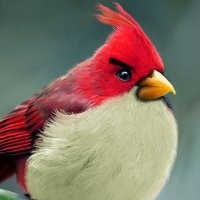 Wujud Nyata Burung-burung di Angry Birds 