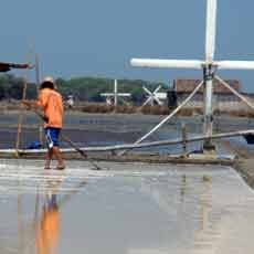 Lahan Garam Gagal Panen di Pamekasan Meluas