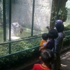 Pengunjung Jangan Khawatir Binatang Sakit di Bonbin