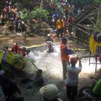 Menengok Tradisi Mantu Kucing di Banyuwangi